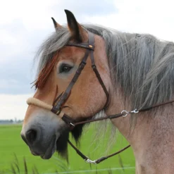 F.R.A. Tinver Bitless Bridle (System 4) Soft Leather Reins Incl