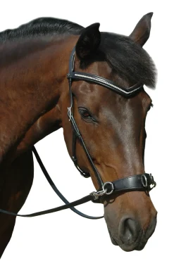 F.R.A. Wendy B Cavesson, Bitless Bridle, Leather Reins W/ Clip