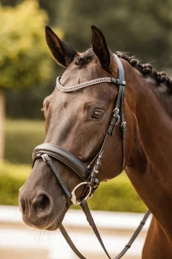 Frontal Avec Cristaux Horze Columbia