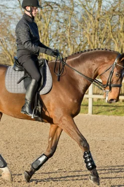 Guetres De Protection Fermees, Protege-Tendons Horze Laval
