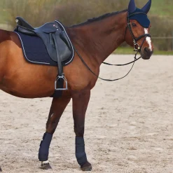Guetres De Protection Fermees Protege-Tendons En Neoprene Horze Marquess