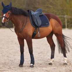 Guetres De Protection Fermees Protege-Tendons En Neoprene Horze Marquess