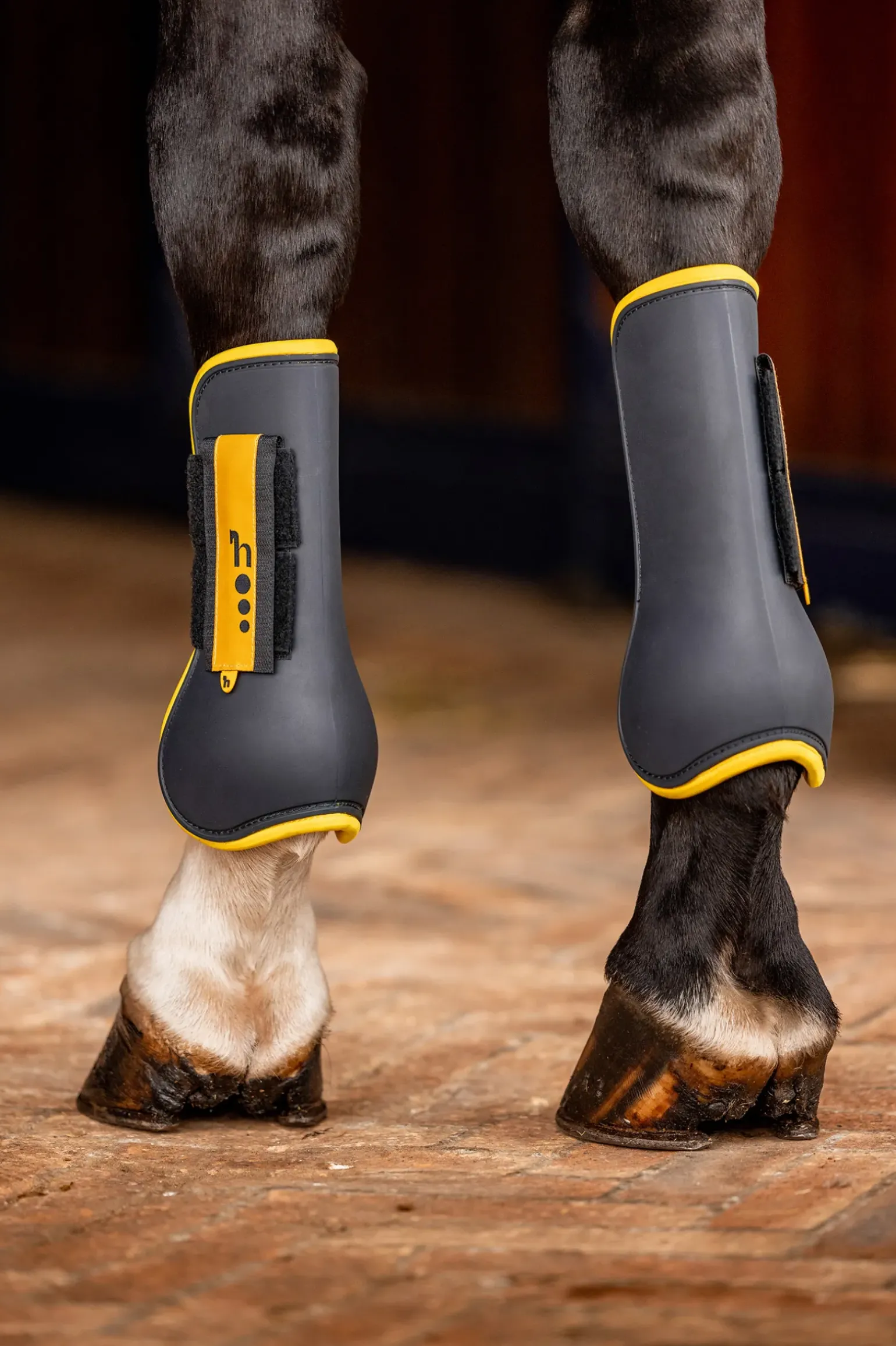 Guetres De Protection Protege-Tendons Horze Chicago 2.0