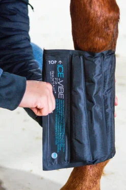 Guetres Horseware Ice-Vibe