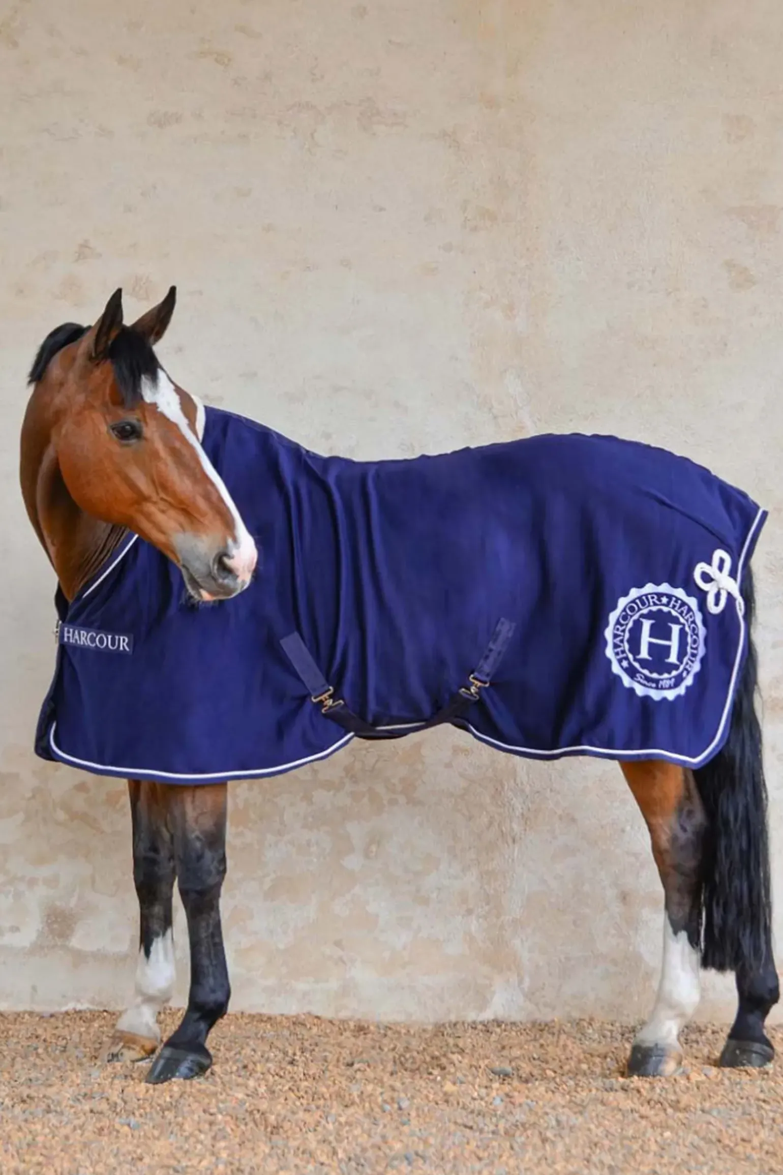Harcour Cancale Couverture Cheval