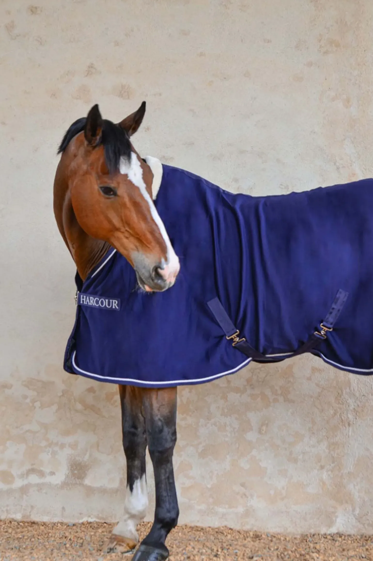 Harcour Cancale Couverture Cheval