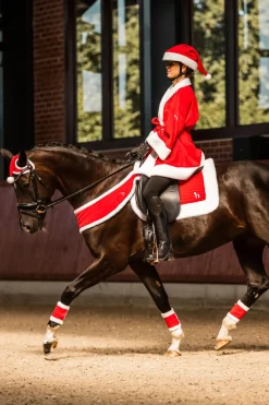 Harnais De Noel Horze