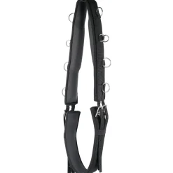 Harry'S Horse Lunging Girth Luxe