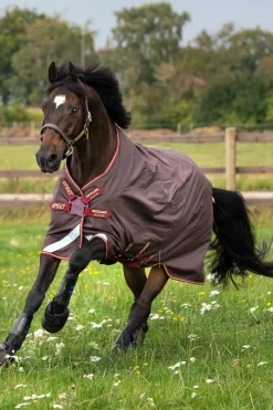 Horseware Amigo Bravo 12 T/O Legere Avec Disque Frn, 0G