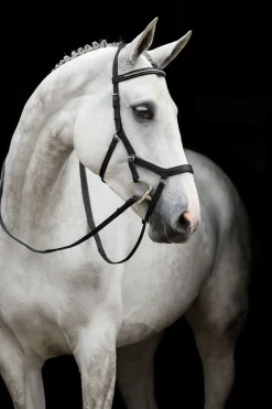 Horseware Rambo Micklem Diamante Comp