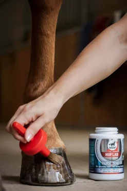 Huile Pour Sabot Leovet Hoof Lab 450 Ml
