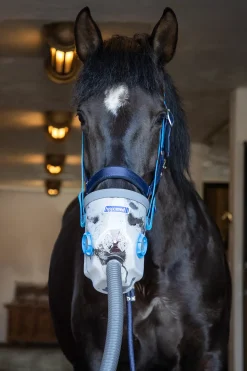 Inhalateur A Ultrasons Hippomed Airone Avec Masque, Cheval De Sport
