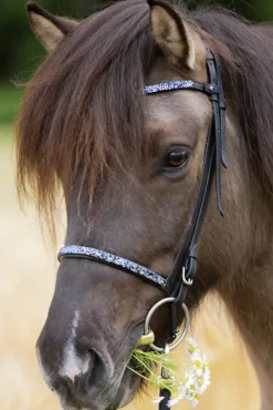 Kavalkade Blar Combined Noseband For Kjartan Icelandic Bridle