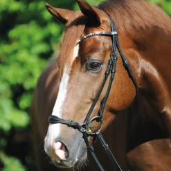 Kavalkade Fiala Bridle