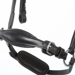 Kavalkade Fiala Bridle