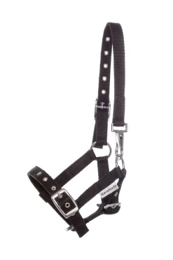Kavalkade Foal & Yearling Halter