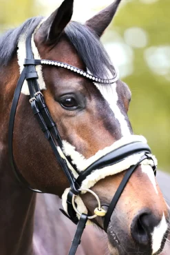 Kavalkade Joyce Kavalsh4 Bridle