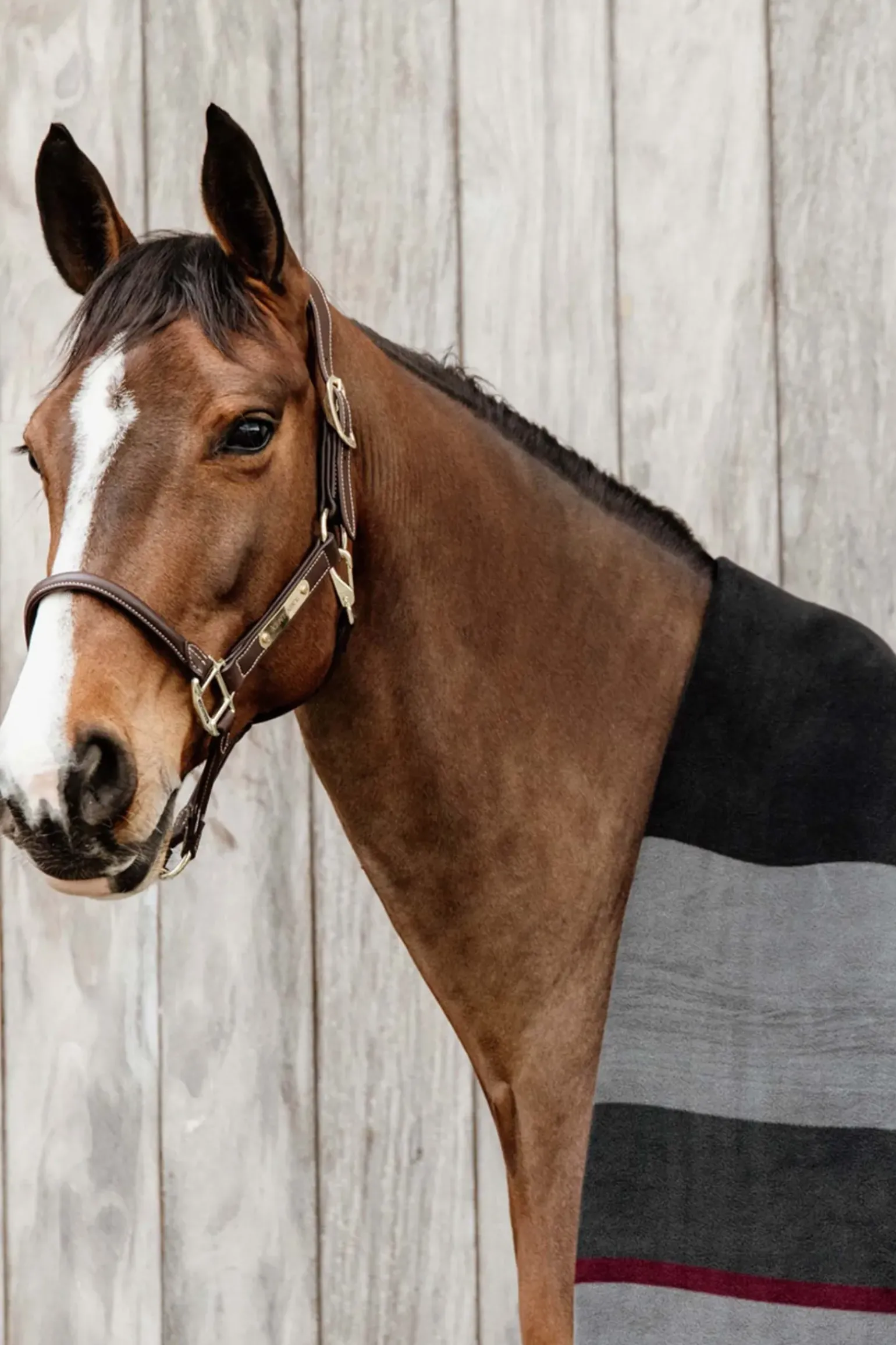 Kentucky Horsewear Couverture Sechante Carre Heavy
