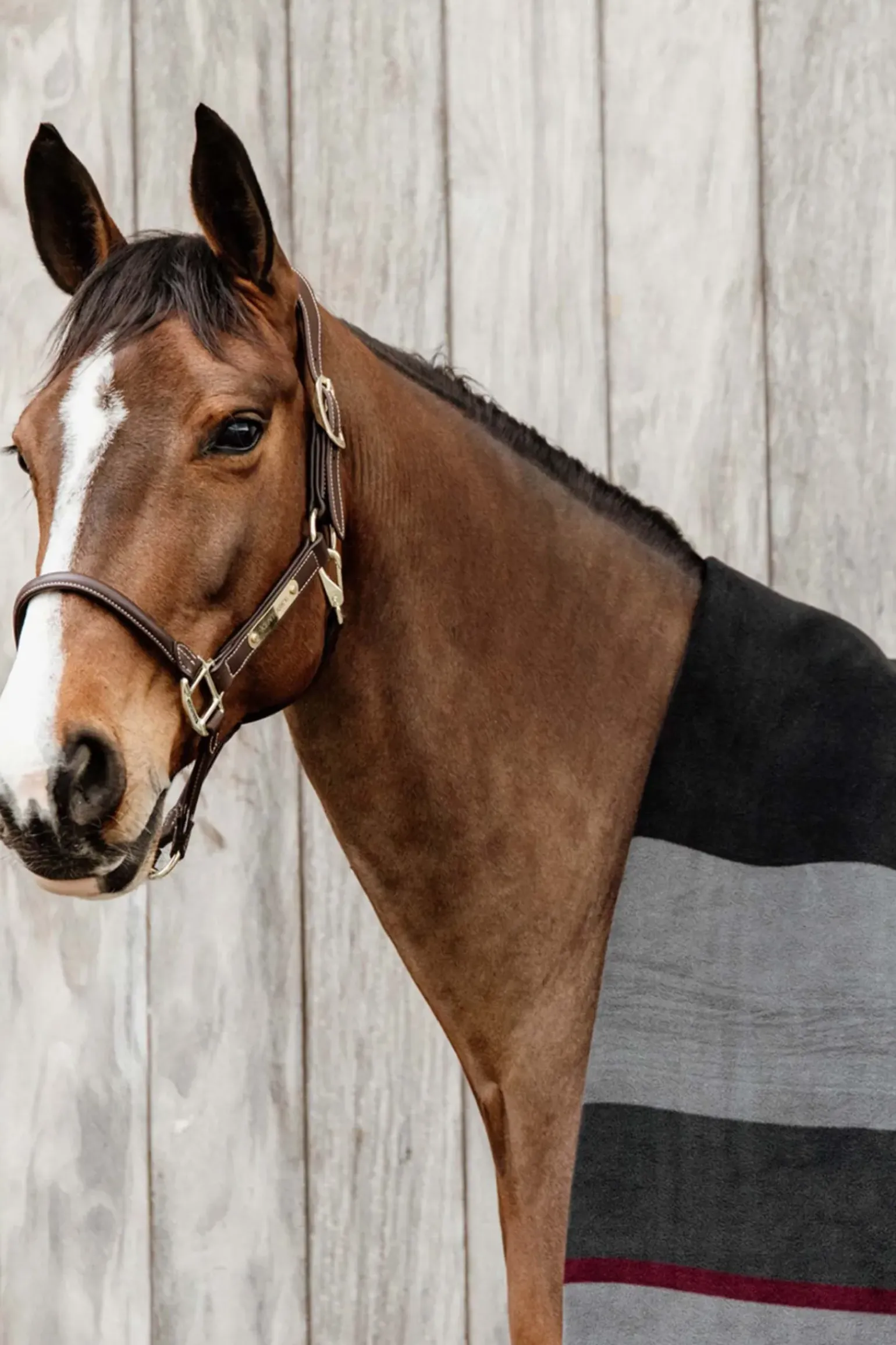 Kentucky Horsewear Couverture Sechante Carre Heavy