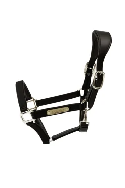 Kentucky Horsewear Licol Anatomique En Nylon