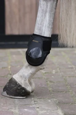 Kentucky Horsewear Protege-Boulet Jeunes Chevaux