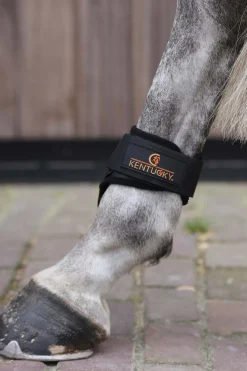 Kentucky Horsewear Protege-Boulet Jeunes Chevaux