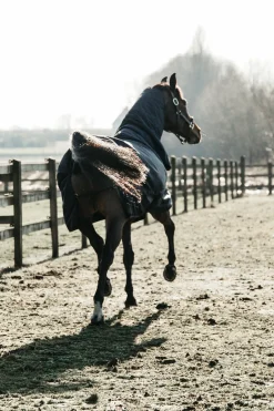 Kentucky Horsewear Turnout Rug All Weather Waterproof Classic, 50G