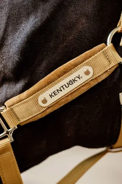 Kentucky Horsewear Velvet Licol
