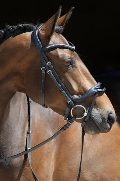 Kieffer Anouk Softtech Line Bridle