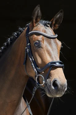 Kieffer Anouk Softtech Line Bridle