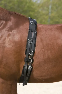 Kieffer Lunging Girth