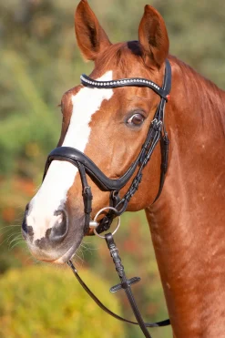 Kieffer Ultrasoft® Amy Bridle