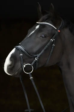 Kieffer Ultrasoft® Amy Shine Bridle