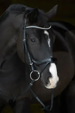Kieffer Ultrasoft® Amy Shine Bridle