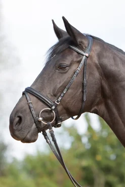 Kieffer Ultrasoft® Bridle