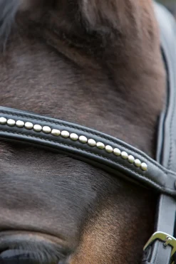 Kieffer Ultrasoft® Bridle