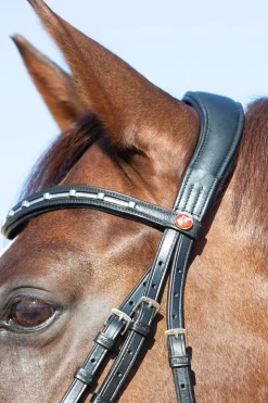 Kieffer Ultrasoft® Economy Ii Bridle