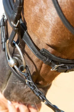 Kieffer Ultrasoft® Economy Ii Bridle