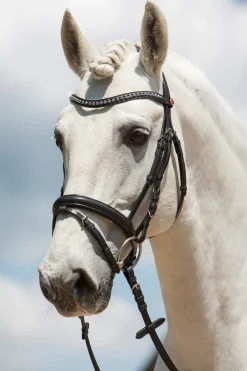 Kieffer Ultrasoft® Fashion Bridle