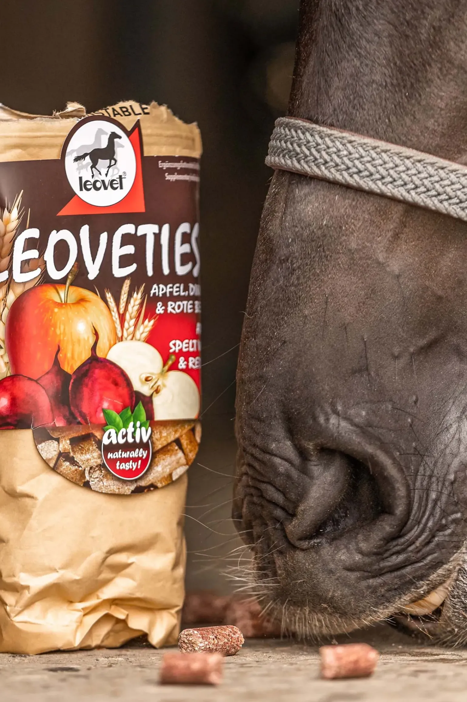 Leovet