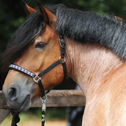 Licol Classique Pour Cheval De Trait Kavalkade