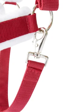 Licol De Noel Horze