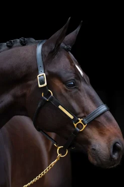 Licol Horseware Amigo