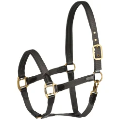 Licol Horze Avec Details En Cuir