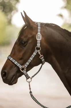 Licol Horze Dallas A Carreaux Avec Doublure En Neoprene