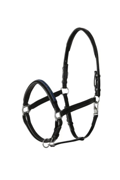 Licol Horze En Cuir Avec Muserolle Cristaux