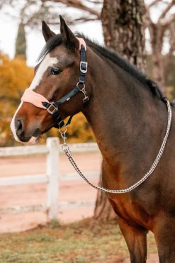 Licol Horze Trixi, Poney