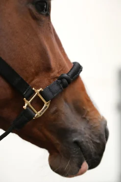 Licol Kentucky Horsewearcontrole