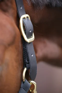 Licol Kentucky Horsewearcontrole
