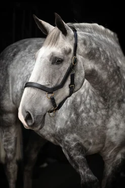 Licol Micklem Rambo Horseware